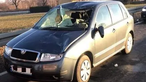 Kierująca samochodem trafiła do szpitala