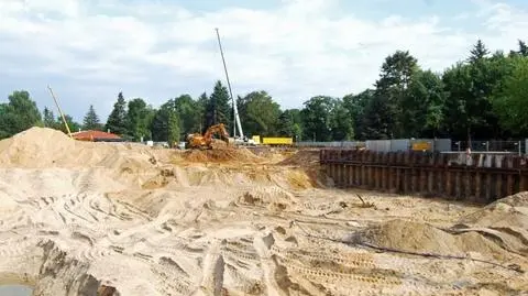 Żurawie budują dom dla nosorożców