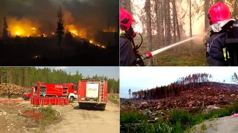 Polacy pomagają Szwedom od 21 lipca ("Fakty" TVN z 26.07.2018)