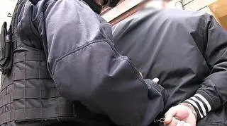 Policja zatrzymała 17 osób