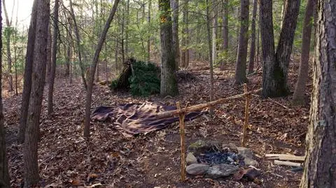 Bushcraft i survival łatwiejsze w polskich lasach. "Musimy śledzić nowe trendy"