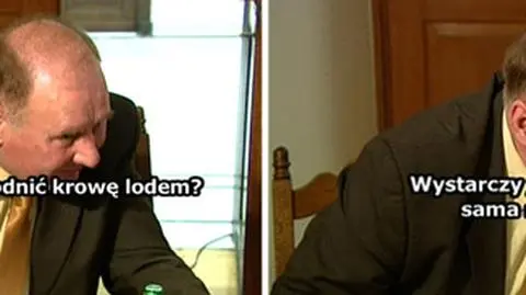Mucha jak "krowa zapłodniona lodem"? "Postawić na lód, sama się wypieprzy"