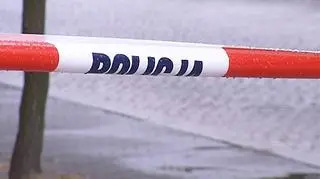 Kierowca nie miał prawa jazdy