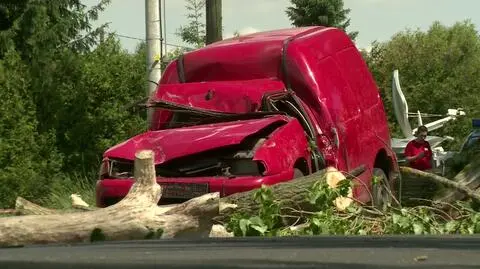 Zginął przez drzewo, które miało być wycięte