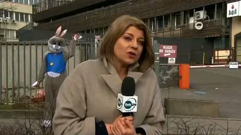Zając wielkanocny bohaterem drugiego planu w relacji TVN24