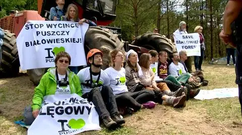 Artyści chcą interwencji prezydenta i premier w sprawie Puszczy Białowieskiej (Materiał "Faktów" TVN, 19.05.17) 