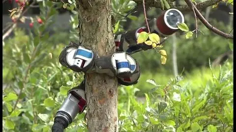 Wąż do zadań specjalnych