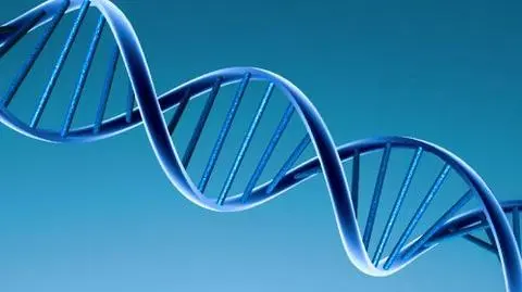 DNA prawdę Chińczykom powie