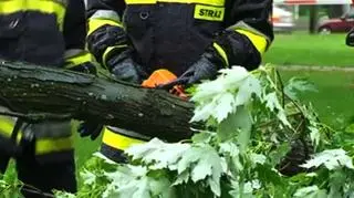 Drzewo przygniotło samochós