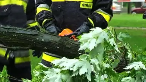 Drzewo przygniotło samochód. Nie żyje kobieta