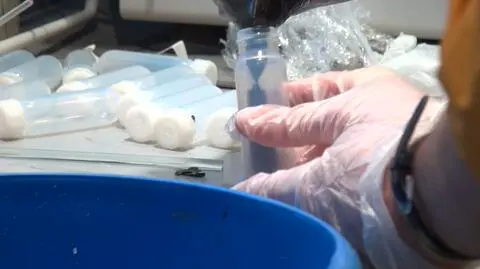 Naukowcy ostrzegają przed iperytem