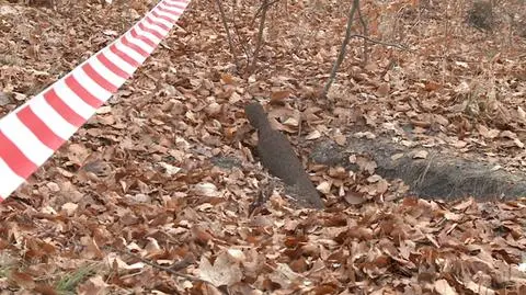 Pocisk w Szczecinie. Pochodzi z II wojny światowej