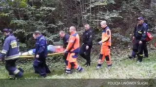 Poszła na grzyby i zgubiła się w lesie