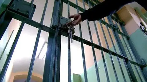 Wyłudziła 3 mln zł za lekcje angielskiego