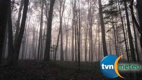 Długi weekend - mglisty i chłodny