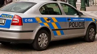 Czech police confirmed on their Twitter page that officers detained two foreigners at Prague Airport on a warrant issued in Vienna on Wednesday but gave no details