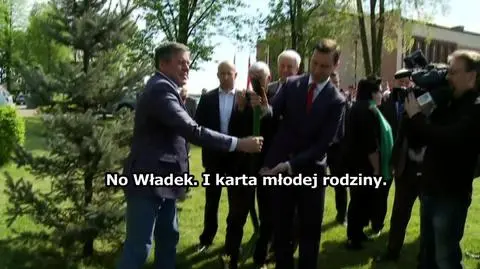 PSL wraca do koerzeni
