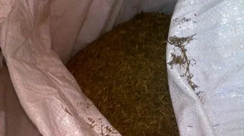 Worki pełne lewego tytoniu. Znaleźli też dopalacze