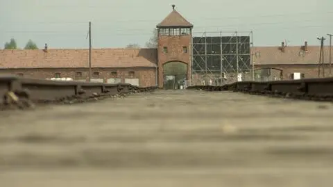 Yad Vashem krytykuje polski rząd