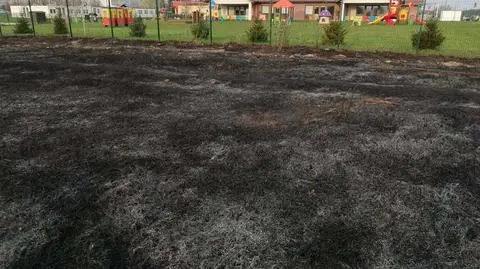 Świdnica. Płonęły trawy, ogień dotarł pod samo ogrodzenie żłobka