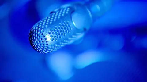 Zawodowcy od podsłuchów