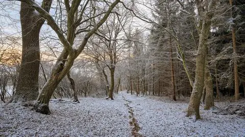 Pogoda na pięć dni: zajrzy do nas zimowa pogoda, miejscami sypnie śniegiem
