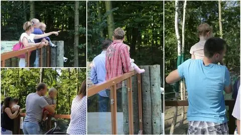 Poznańskie zoo boi się, że może dojść do powtórki sytuacji z zoo w Cincinnati