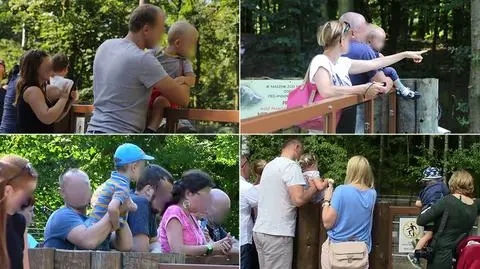 Nieodpowiedzialni rodzice w poznańskim zoo. Zobacz zdjęcia