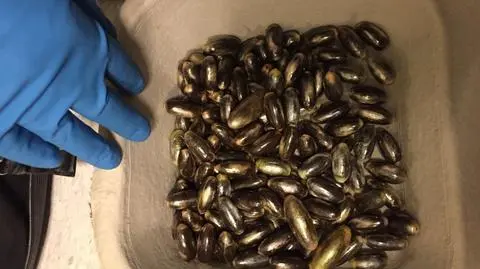 Mężczyźni przemycali haszysz