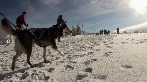 Na trasie Zimowego Ultramaratonu Karkonoskiego