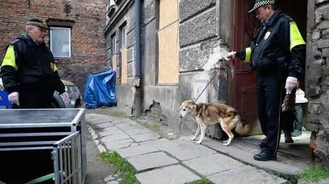 Przemyśl. Animalsi uwolnili psa zamkniętego w mieszkaniu