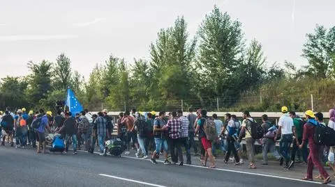 Referendum ws. obowiązkowych kwot osiedlania imigrantów