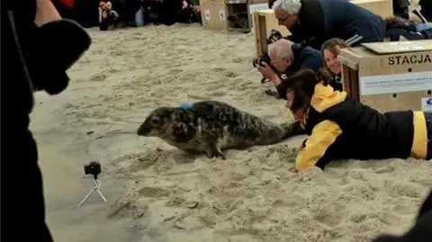 Aron, Laskorn, Lubek i Lugier już w Bałtyku