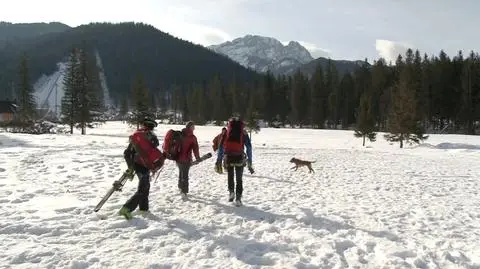 Policja potwierdza: ciała należą do turystów