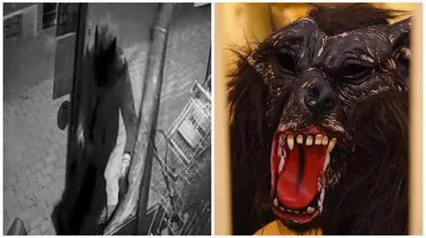 Wilkołak-włamywacz wylądował za kratami