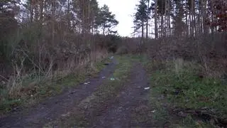 Ciało mężczyzny znaleziono w lesie pod Słupskiem