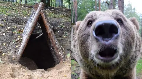 "Wzruszenie odbiera nam mowę" - mówią pracownicy zoo 