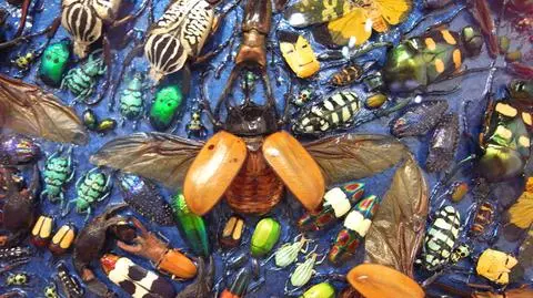 Sensacja na targach sztuki. Obraz z robaków za blisko milion dolarów