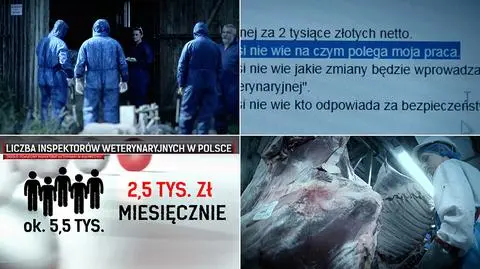 Inspekcja Weterynaryjna i jej działalność