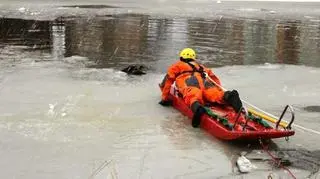 Nie obyło się bez sań lodowych 