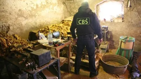 CBŚ w fabryce tytoniu. Zatrzymano dziewięć osób