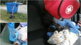 Przeżyły tylko dwa z pięciu szczeniaków 