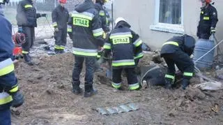 16 strażaków ratowało krowę