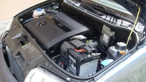 Chińczycy okradli Volkswagena? "To katastrofa"