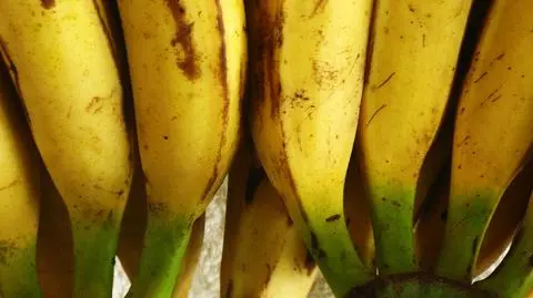 Wyciąg z muszli kraba przedłuży świeżość bananów