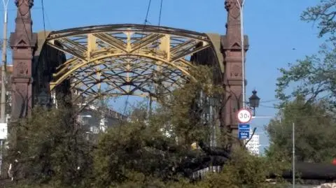 Drzewo spadło na jezdnię tuż obok Mostu Zwierzynieckiego