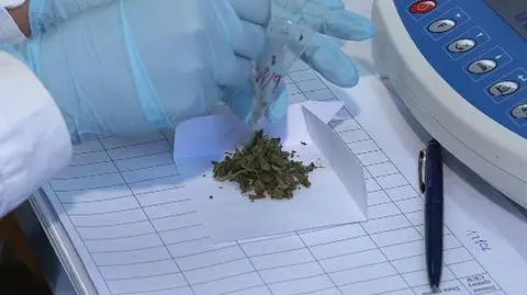Ponad 200 osób z podejrzeniem zatrucia dopalaczami