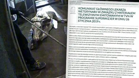 Główny Lekarz Weterynarii wydał komunikat po materiale "Superwizjera"
