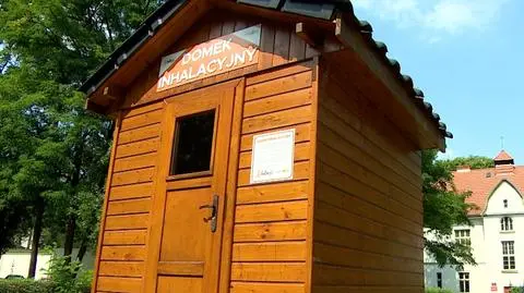 Pszczoły pomagają pacjentom wrócić do zdrowia