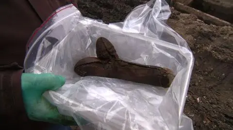 Sensacyjny penis - sprzed 300 lat